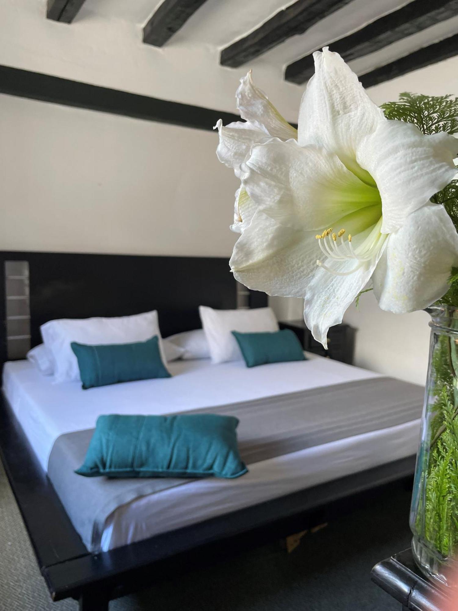 Hotel Premium Real Μεντεγίν Εξωτερικό φωτογραφία